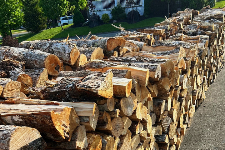 Case Study: How One Customer Transformed Their Wood Boiler Maintenance